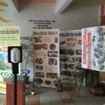 IMG_20220509_140107 Erasmus en Kosice, Eslovaquia